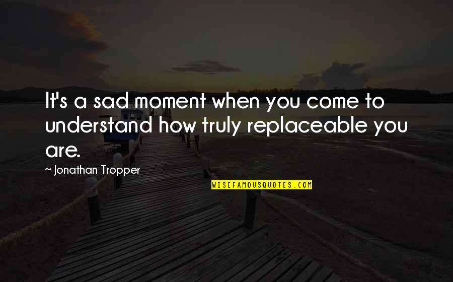 Replaceable Quotes By Jonathan Tropper: It's a sad moment when you come to