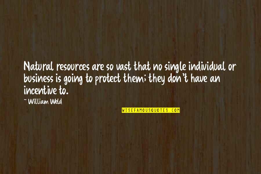 Replenishment Potion Quotes By William Weld: Natural resources are so vast that no single