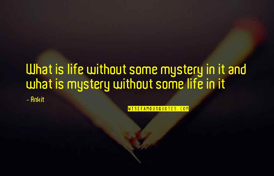 Replici De Inchis Quotes By Ankit: What is life without some mystery in it