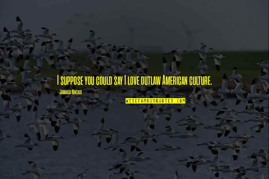 Replissoma Quotes By Jamaica Kincaid: I suppose you could say I love outlaw Replissoma Quotes By Jamaica Kincaid: I suppose you could say I love outlaw