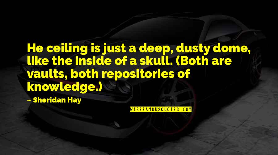Repositories Quotes By Sheridan Hay: He ceiling is just a deep, dusty dome,