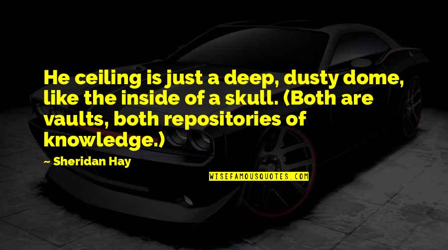 Repositories Quotes By Sheridan Hay: He ceiling is just a deep, dusty dome, Repositories Quotes By Sheridan Hay: He ceiling is just a deep, dusty dome,