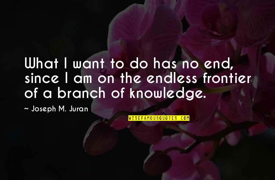 Repossessions For Sale Quotes By Joseph M. Juran: What I want to do has no end, Repossessions For Sale Quotes By Joseph M. Juran: What I want to do has no end,