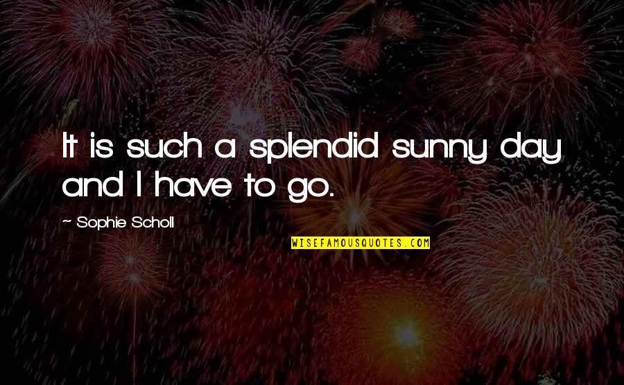 Reprendre Synonyme Quotes By Sophie Scholl: It is such a splendid sunny day and Reprendre Synonyme Quotes By Sophie Scholl: It is such a splendid sunny day and