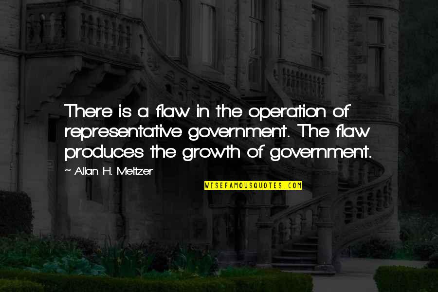 Representative Quotes By Allan H. Meltzer: There is a flaw in the operation of