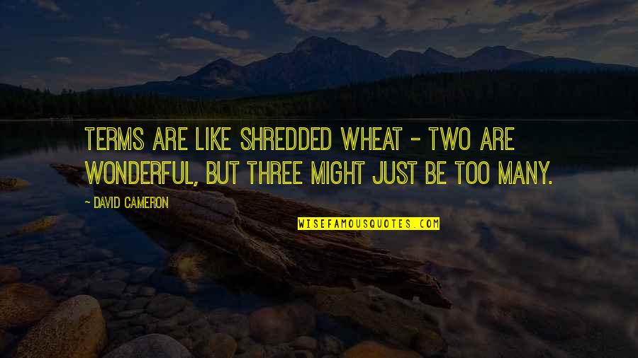 Representatividad Quotes By David Cameron: Terms are like shredded wheat - two are