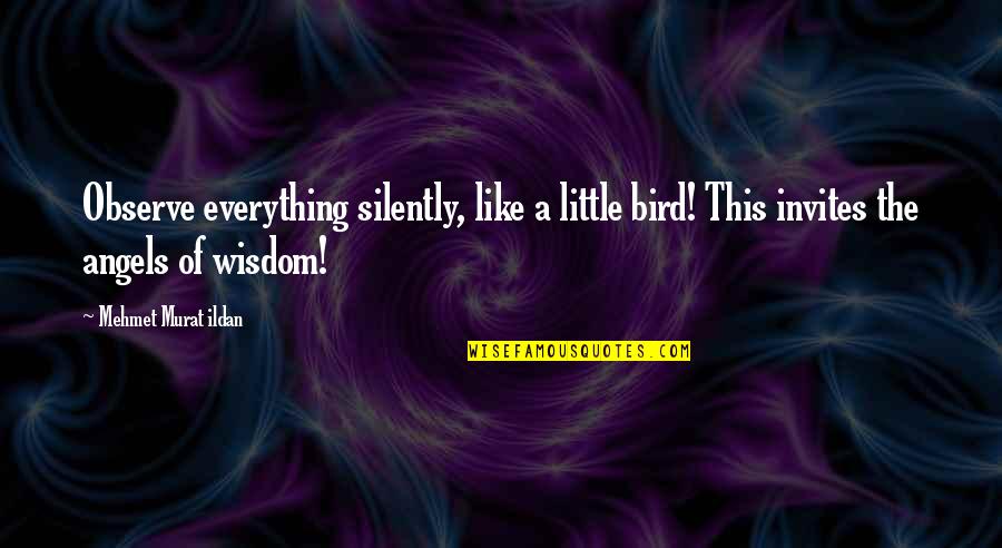 Repressiva Quotes By Mehmet Murat Ildan: Observe everything silently, like a little bird! This