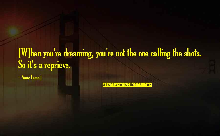 Reprieve Quotes By Anne Lamott: [W]hen you're dreaming, you're not the one calling