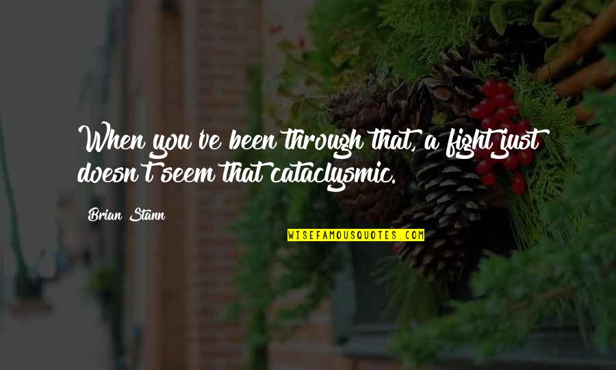 Reproches Significado Quotes By Brian Stann: When you've been through that, a fight just