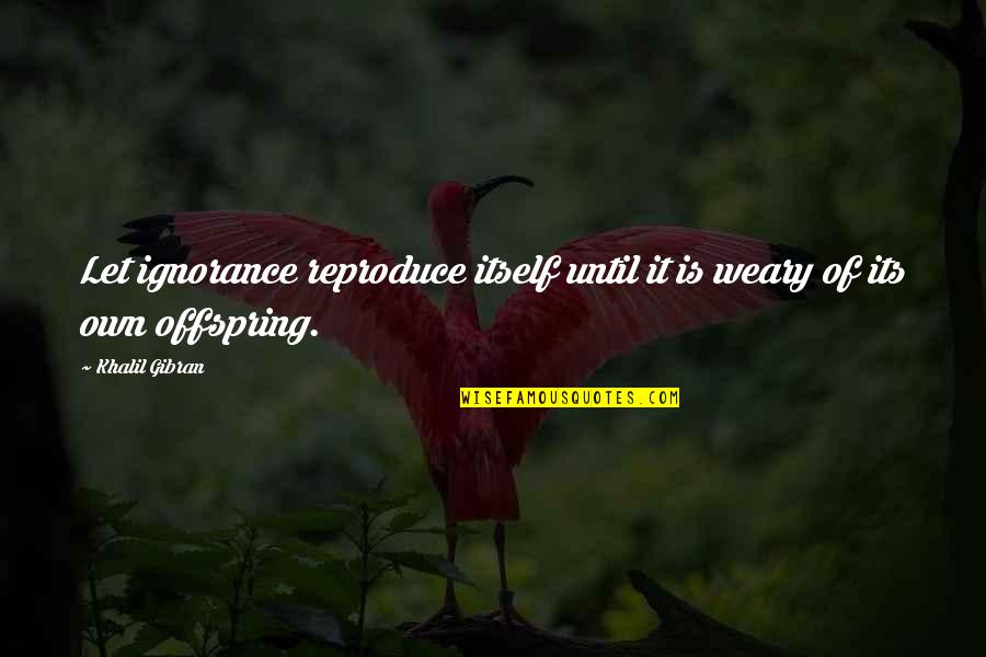 Reproduce Quotes By Khalil Gibran: Let ignorance reproduce itself until it is weary
