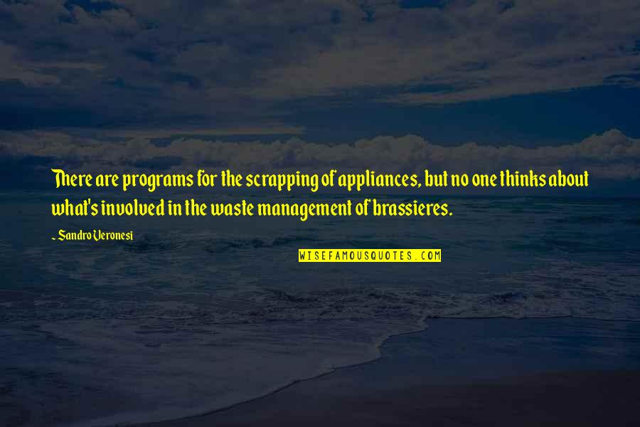 Reproducibles Quotes By Sandro Veronesi: There are programs for the scrapping of appliances,