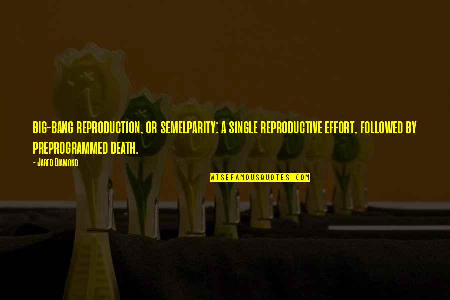 Reproduction Quotes By Jared Diamond: big-bang reproduction, or semelparity: a single reproductive effort, Reproduction Quotes By Jared Diamond: big-bang reproduction, or semelparity: a single reproductive effort,
