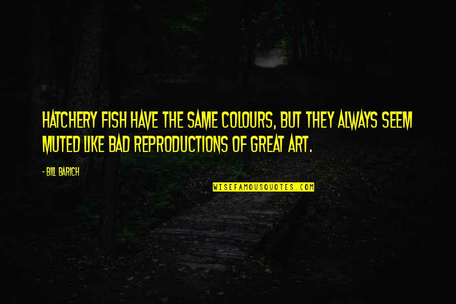 Reproductions Art Quotes By Bill Barich: Hatchery fish have the same colours, but they Reproductions Art Quotes By Bill Barich: Hatchery fish have the same colours, but they