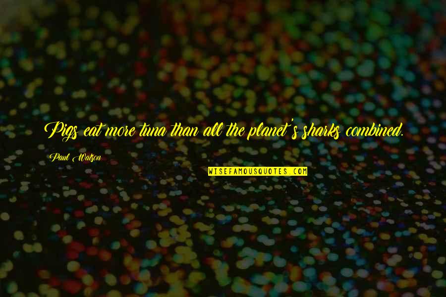 Reproductions Art Quotes By Paul Watson: Pigs eat more tuna than all the planet's