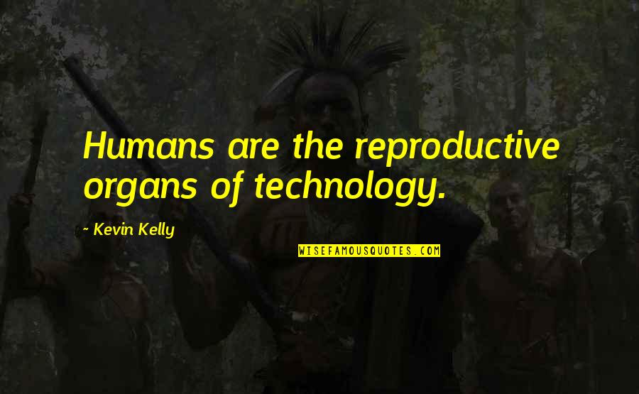 Reproductive Quotes By Kevin Kelly: Humans are the reproductive organs of technology.