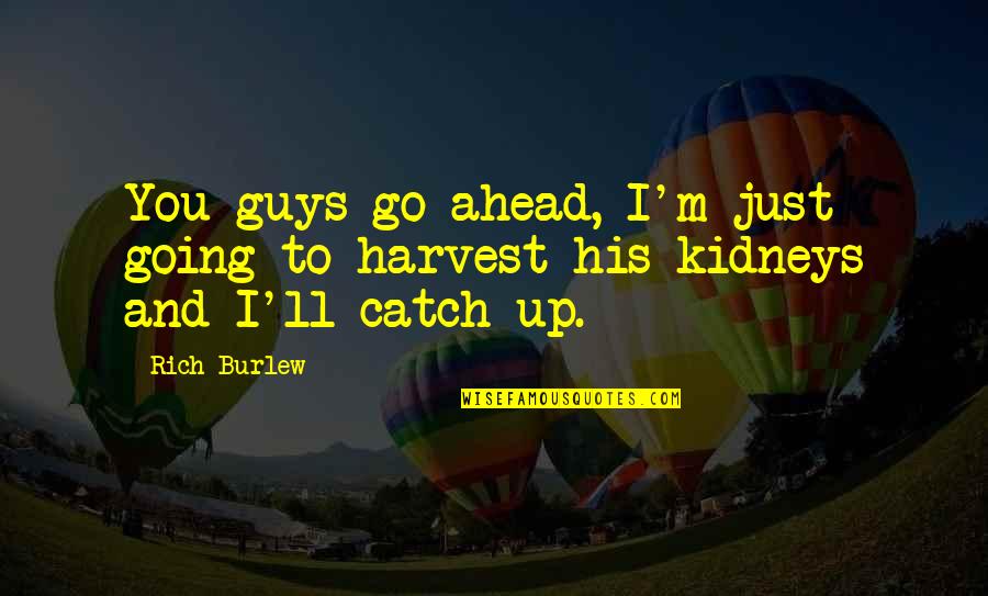 Repteis Tartaruga Quotes By Rich Burlew: You guys go ahead, I'm just going to