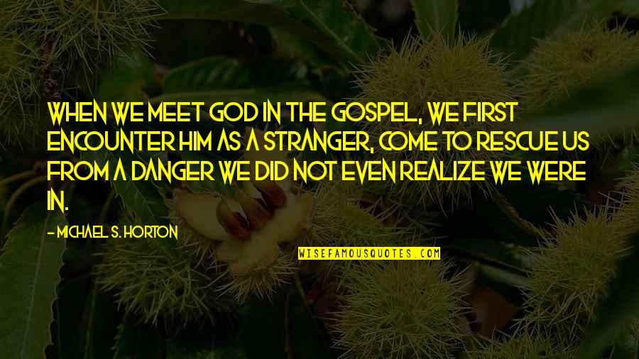 Reptile Love Quotes By Michael S. Horton: When we meet God in the gospel, we Reptile Love Quotes By Michael S. Horton: When we meet God in the gospel, we