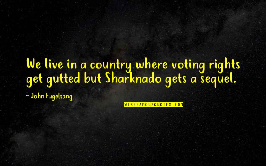Reptiles By Cathryn Quotes By John Fugelsang: We live in a country where voting rights