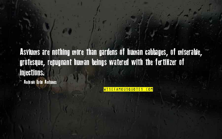Repugnant Quotes By Antonio Lobo Antunes: Asylums are nothing more than gardens of human