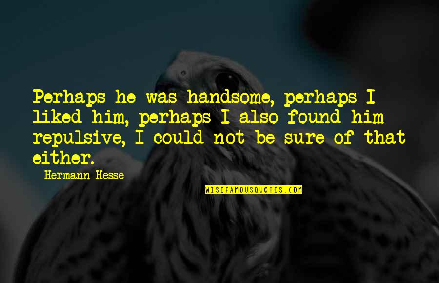 Repulsive Quotes By Hermann Hesse: Perhaps he was handsome, perhaps I liked him,