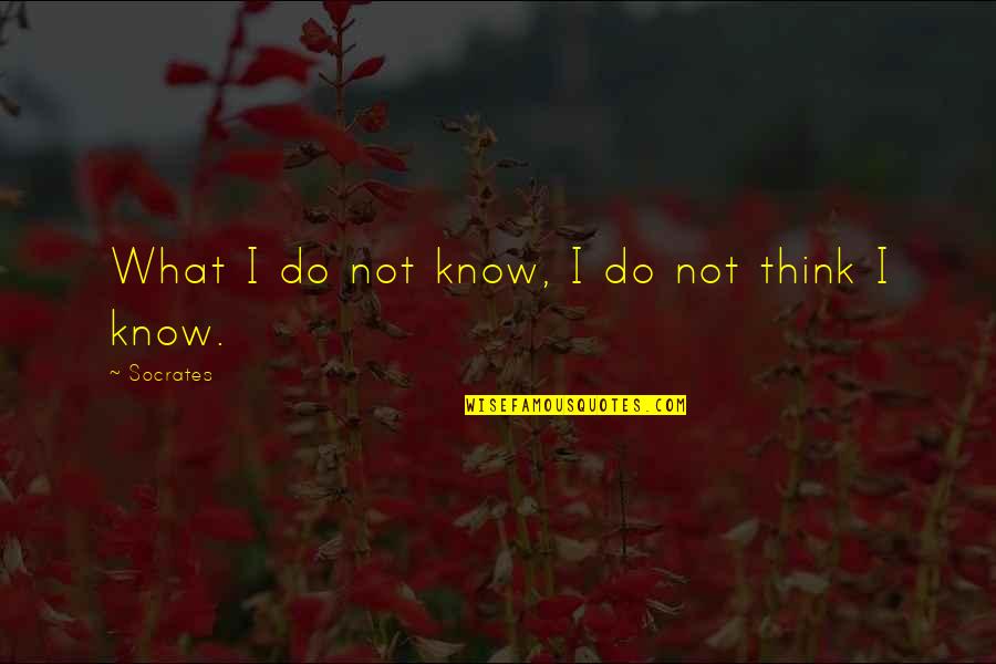 Repulsiveness Quotes By Socrates: What I do not know, I do not