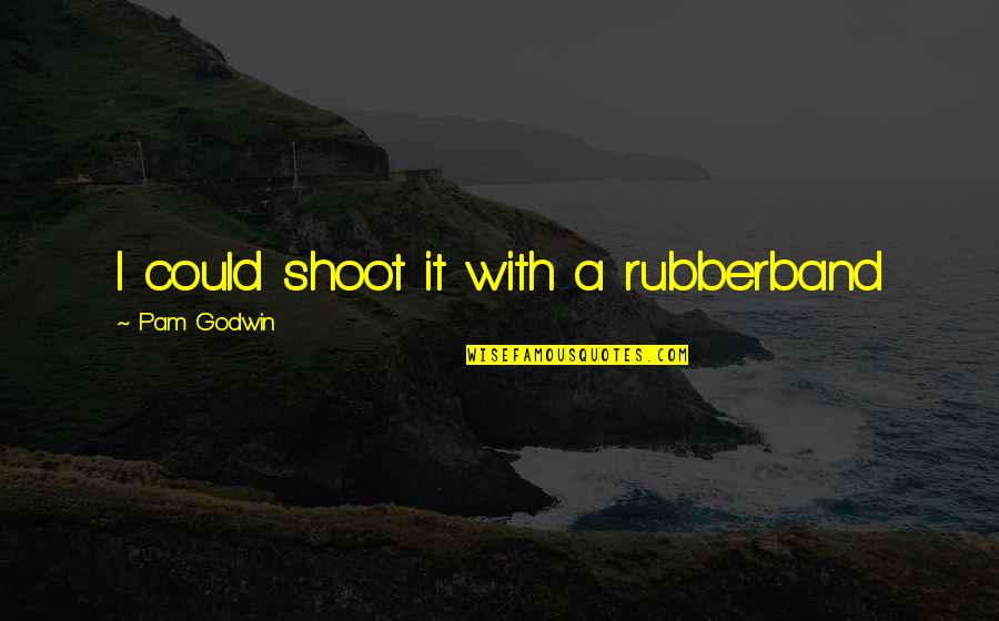 Repurposed Clothing Quotes By Pam Godwin: I could shoot it with a rubberband