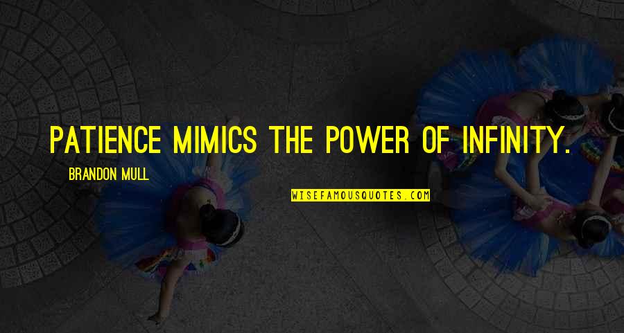 Repuso Quotes By Brandon Mull: Patience mimics the power of infinity.
