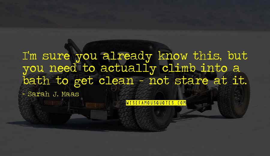 Reruntuhan Mrauk Quotes By Sarah J. Maas: I'm sure you already know this, but you