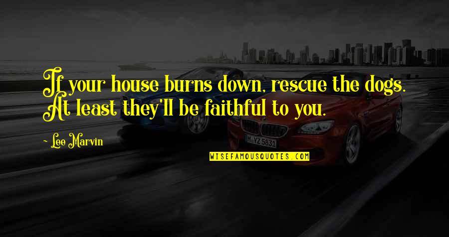 Rescue Dogs Quotes By Lee Marvin: If your house burns down, rescue the dogs.