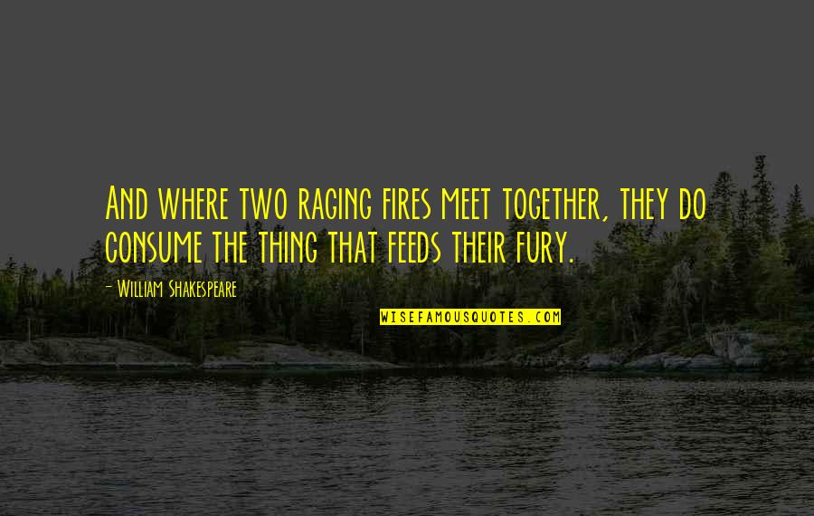 Rescue Me Funny Quotes By William Shakespeare: And where two raging fires meet together, they