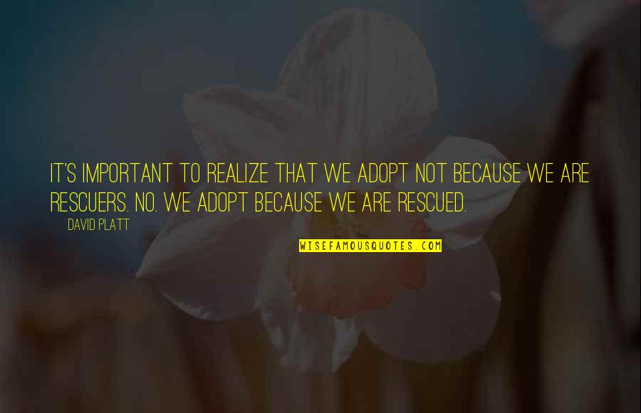 Rescued Quotes By David Platt: It's important to realize that we adopt not