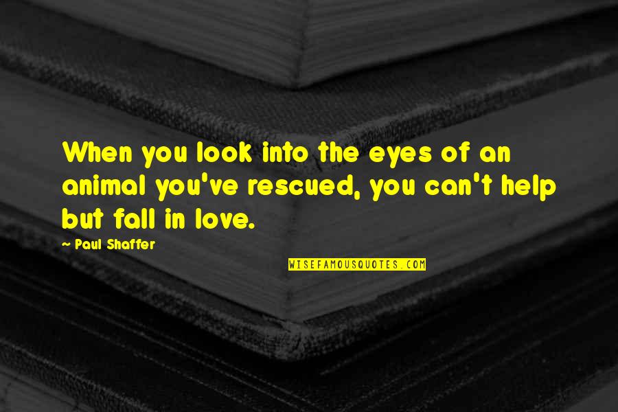 Rescued Quotes By Paul Shaffer: When you look into the eyes of an