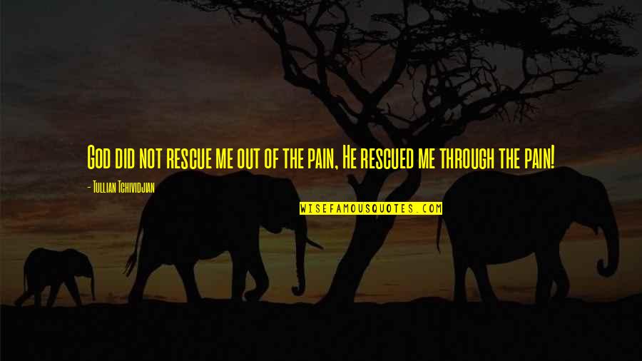 Rescued Quotes By Tullian Tchividjian: God did not rescue me out of the