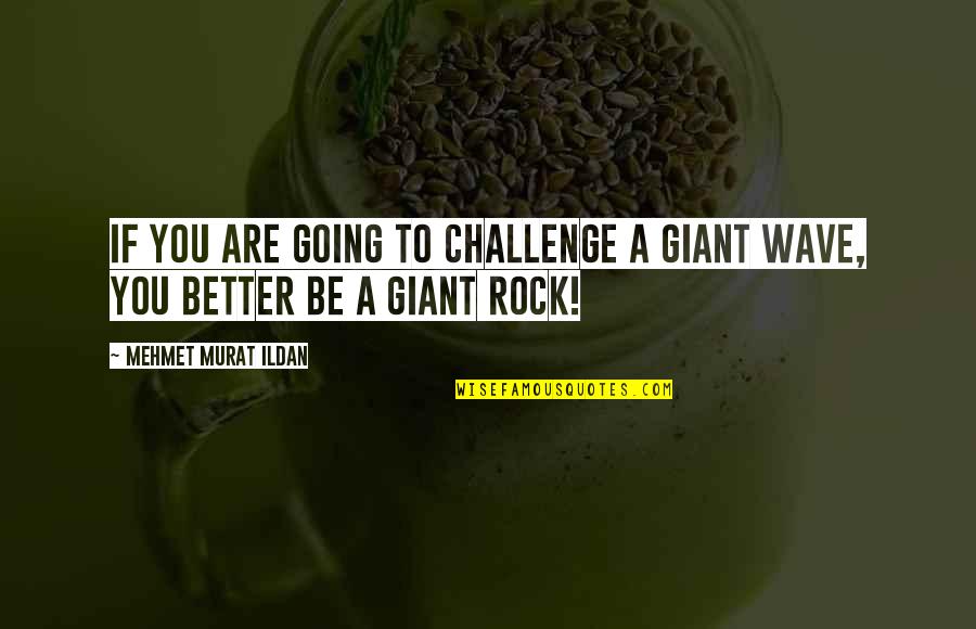 Research Importance Quotes By Mehmet Murat Ildan: If you are going to challenge a giant