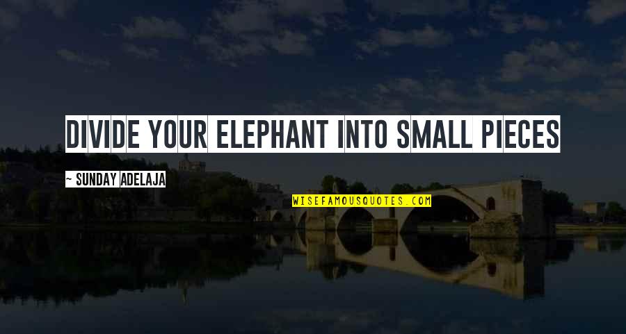 Reseco Advisors Quotes By Sunday Adelaja: Divide your elephant into small pieces