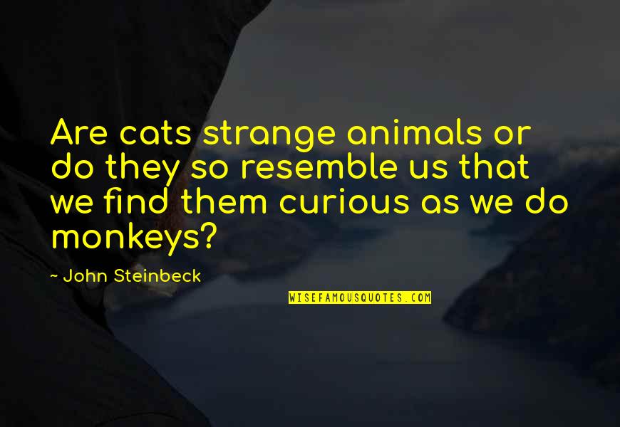 Resemble Quotes By John Steinbeck: Are cats strange animals or do they so