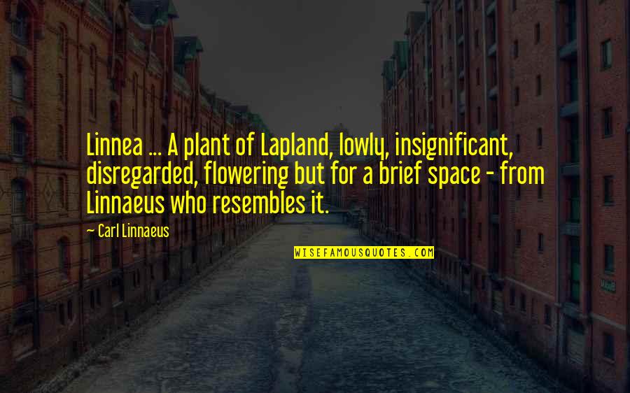 Resembles Quotes By Carl Linnaeus: Linnea ... A plant of Lapland, lowly, insignificant,