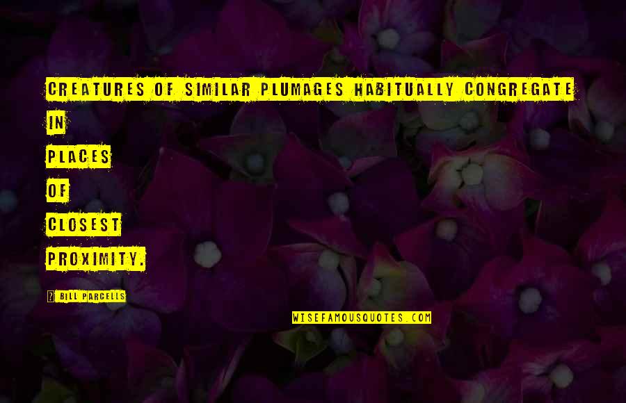Resendez Carpet Quotes By Bill Parcells: Creatures of similar plumages habitually congregate in places