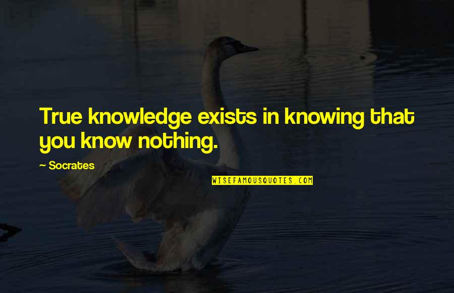 Resentfully Silent Quotes By Socrates: True knowledge exists in knowing that you know