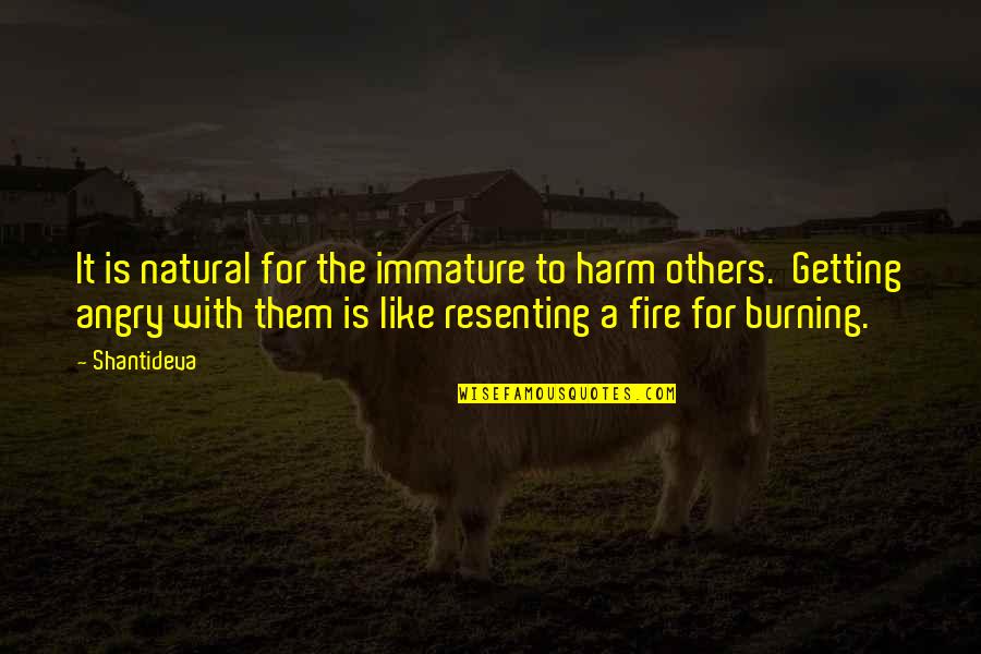 Resenting Quotes By Shantideva: It is natural for the immature to harm