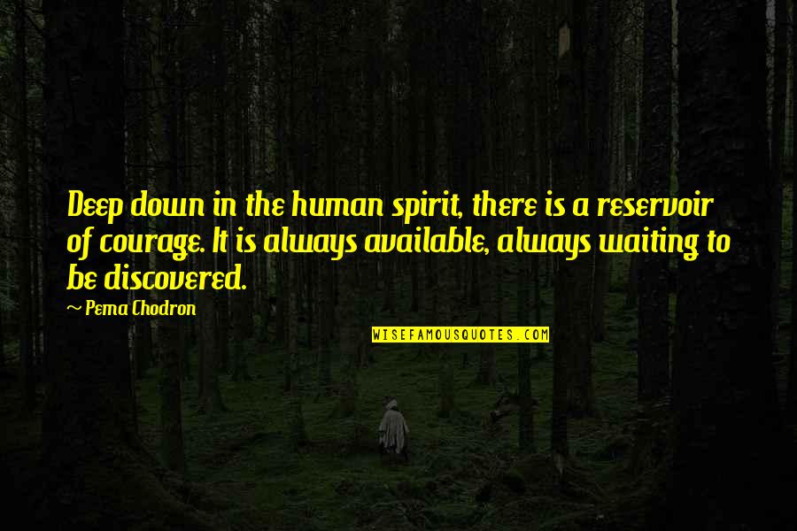 Reservoir Quotes By Pema Chodron: Deep down in the human spirit, there is Reservoir Quotes By Pema Chodron: Deep down in the human spirit, there is