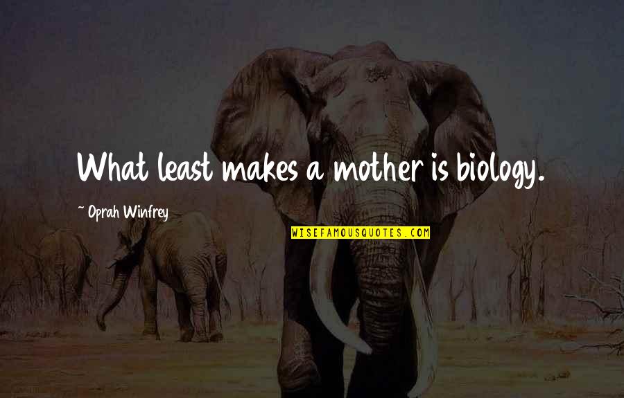 Resgate Do Soldado Quotes By Oprah Winfrey: What least makes a mother is biology. Resgate Do Soldado Quotes By Oprah Winfrey: What least makes a mother is biology.