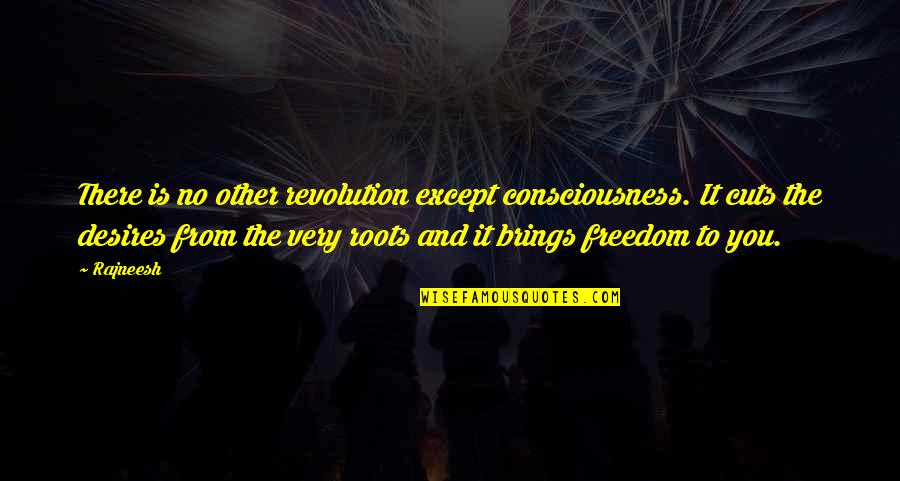Resich Las Vegas Quotes By Rajneesh: There is no other revolution except consciousness. It