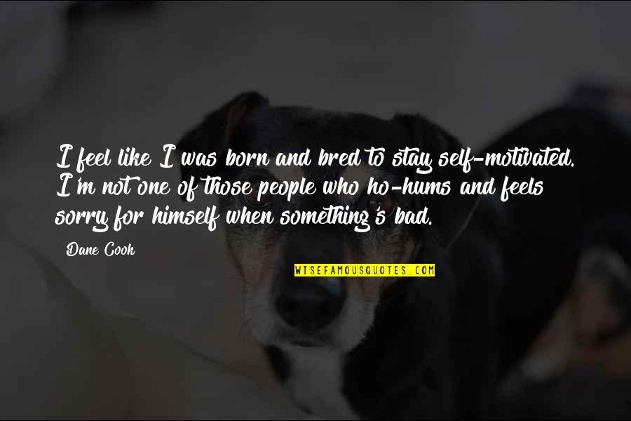 Residencias Universitarias Quotes By Dane Cook: I feel like I was born and bred Residencias Universitarias Quotes By Dane Cook: I feel like I was born and bred
