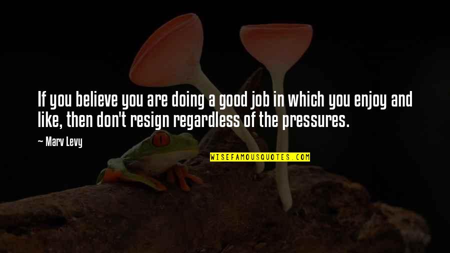 Resign Quotes By Marv Levy: If you believe you are doing a good