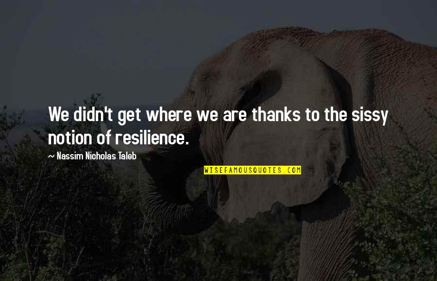 Resilience Quotes By Nassim Nicholas Taleb: We didn't get where we are thanks to