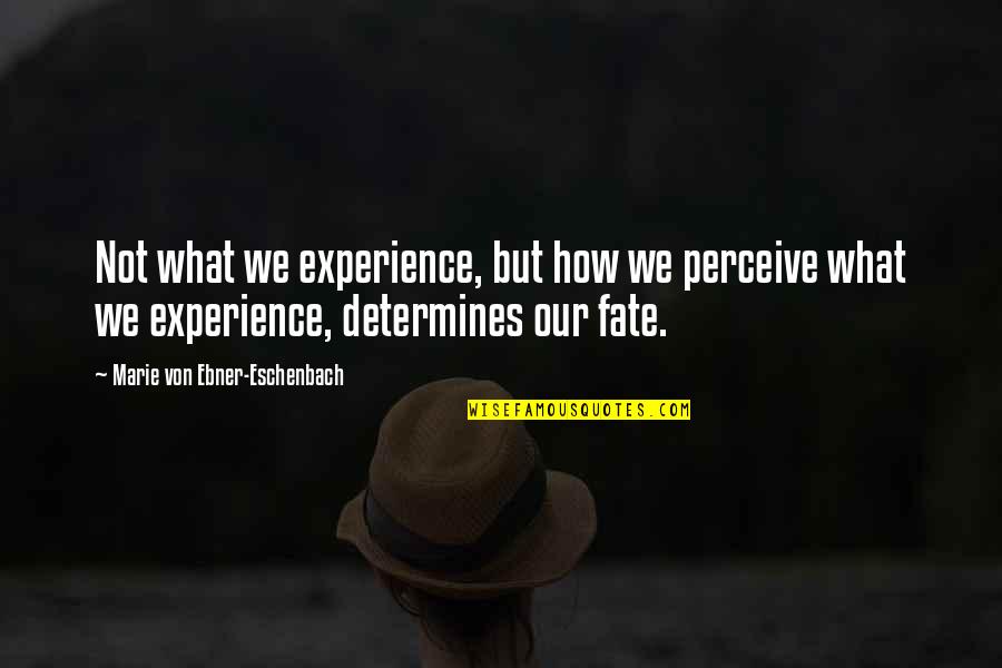 Resist Evil Quotes By Marie Von Ebner-Eschenbach: Not what we experience, but how we perceive Resist Evil Quotes By Marie Von Ebner-Eschenbach: Not what we experience, but how we perceive
