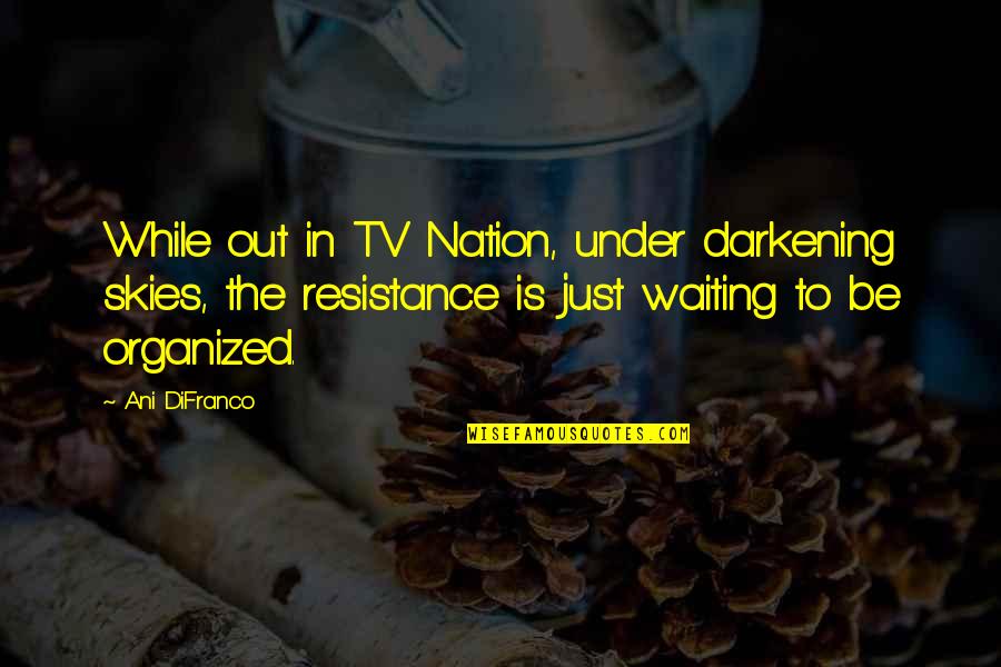 Resistance's Quotes By Ani DiFranco: While out in TV Nation, under darkening skies,