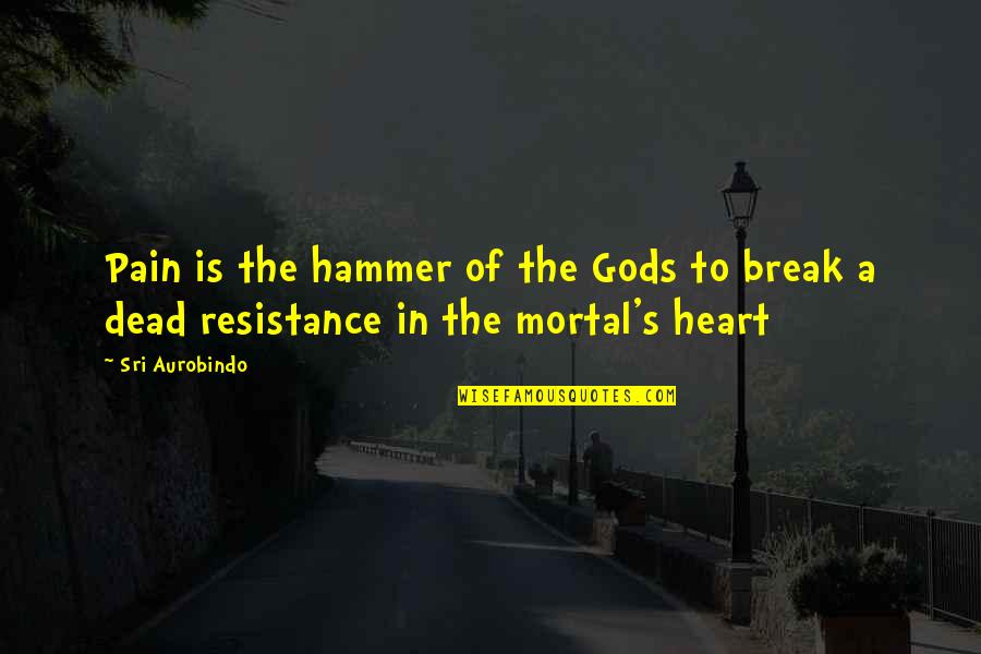 Resistance's Quotes By Sri Aurobindo: Pain is the hammer of the Gods to