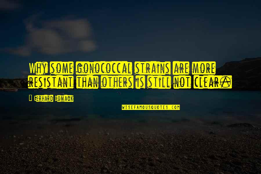 Resistant Quotes By Gerhard Domagk: Why some gonococcal strains are more resistant than
